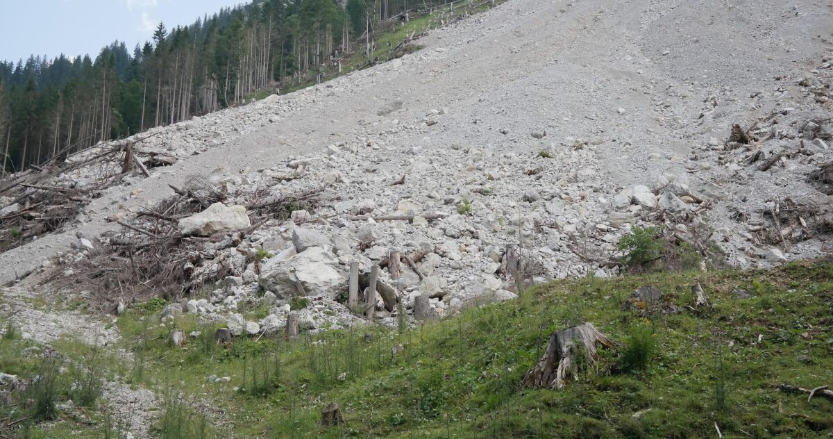 rubble 2100451 1920a