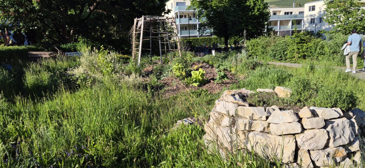 Kräuterschnecke und Gemüsegarten