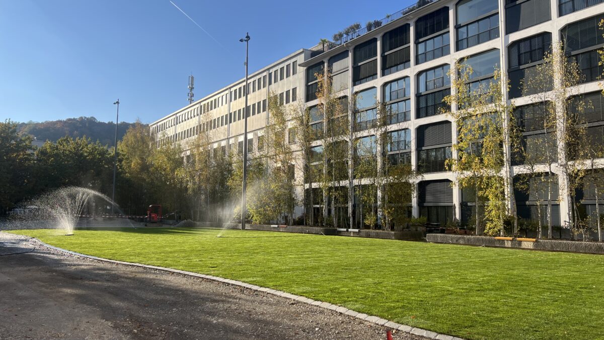 Trafowiese Rollrasen Bewässerung