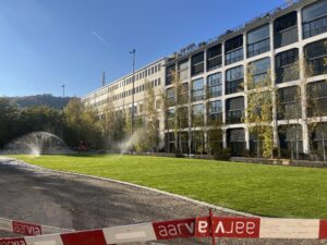 Trafowiese Rollrasen Bewässerung