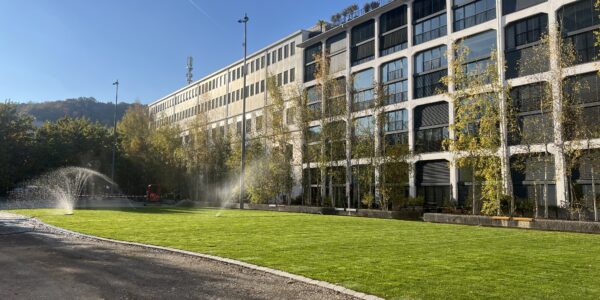 Trafowiese Rollrasen Bewässerung