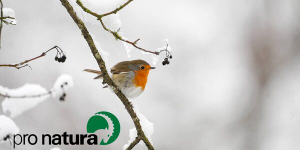 Exkursion im Aargauer Jura