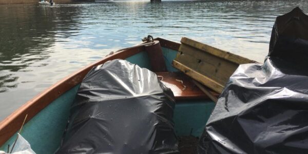 Limmatuferreinigung am Wettinger Stausee