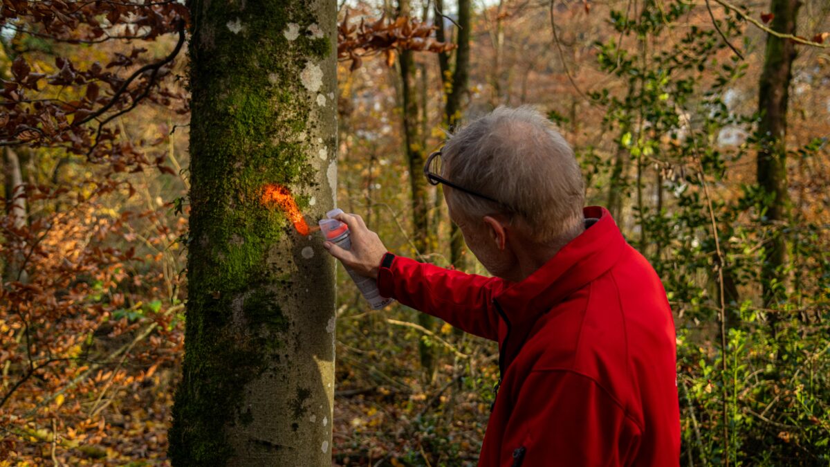 Stadtforstamt Baden Contentday 1 2025 Avarel 243