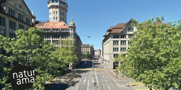 Naturama: Vortrag - Die Stadtbäume der Zukunft