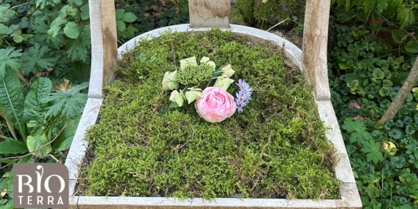 Bioterra: Aus Alt wird Neu - Workshop am Morgen