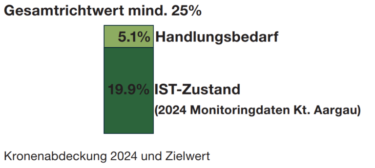 Kronenabdeckung 2024 und Zielwert