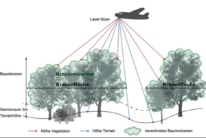 Screenshot 2026 03 05 172734