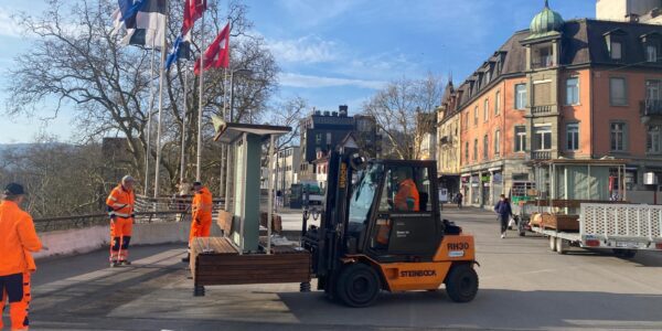 Aufbau begrünte Bank