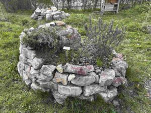 Krauterspirale Roemergarten