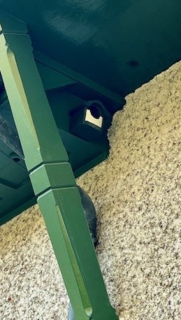 Nistkasten Hausrotschwanz Langmatt cut