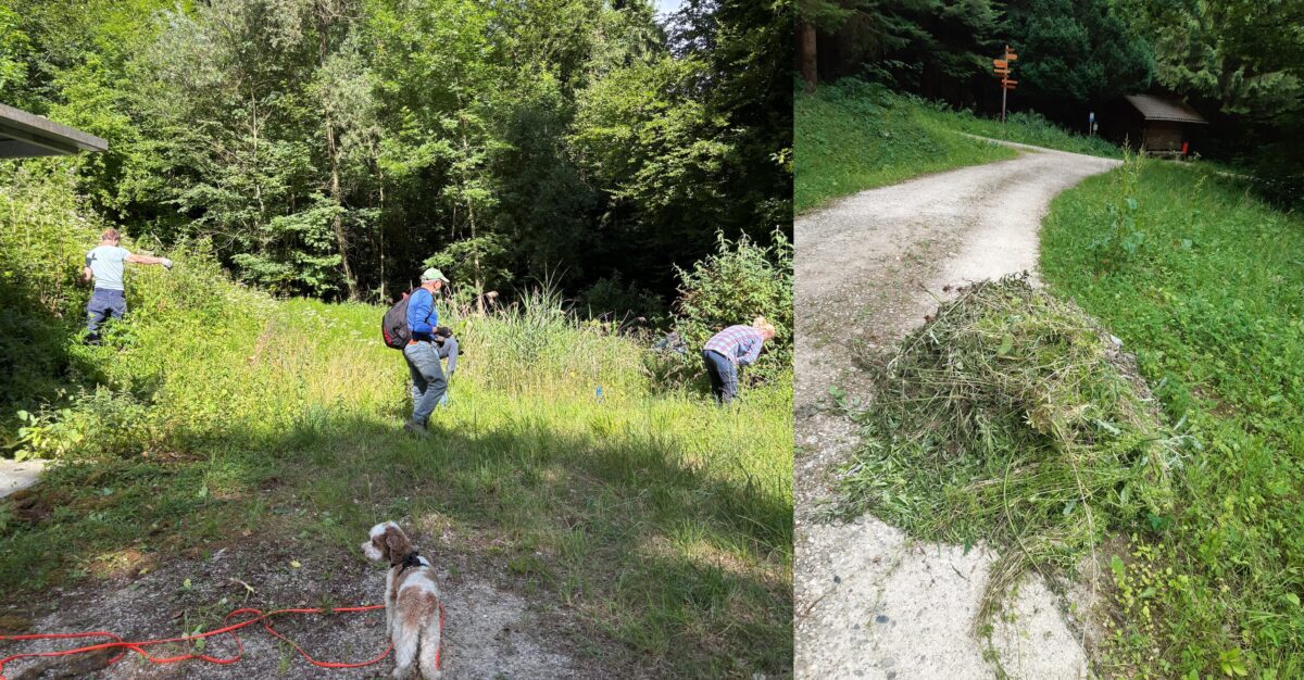260630 NVV Turgi Einsatz