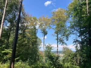 Ausblick Hägeler 8 Aug 26