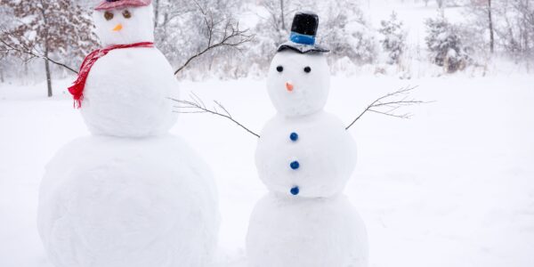 Adventsmarkt im Park - Winter Wonderland