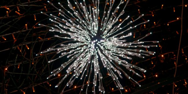 Turgemer Weihnachtsmarkt